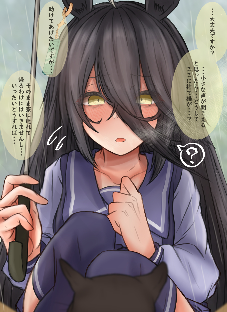 This is a pixiv picture whose title is 雨の日の邂逅.