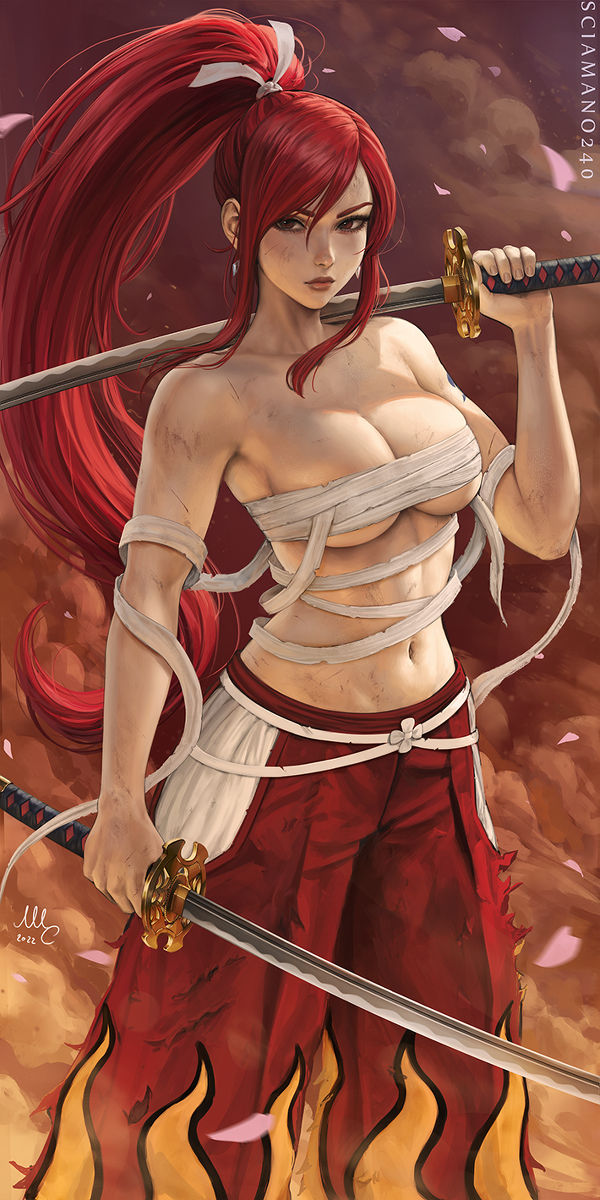 This is a pixiv picture whose title is Erza Scarlet - Fairy Tail.