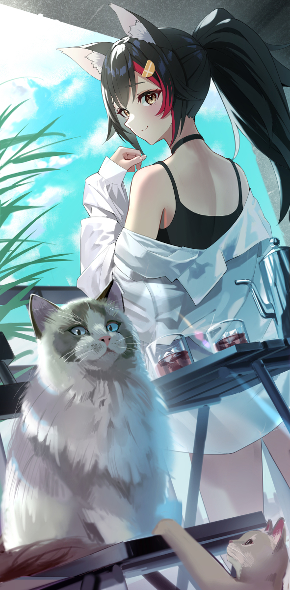 This is a pixiv picture whose title is 揃い踏み.