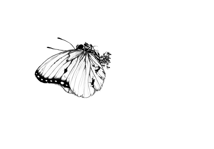 This is a pixiv picture whose title is ※虫注意.