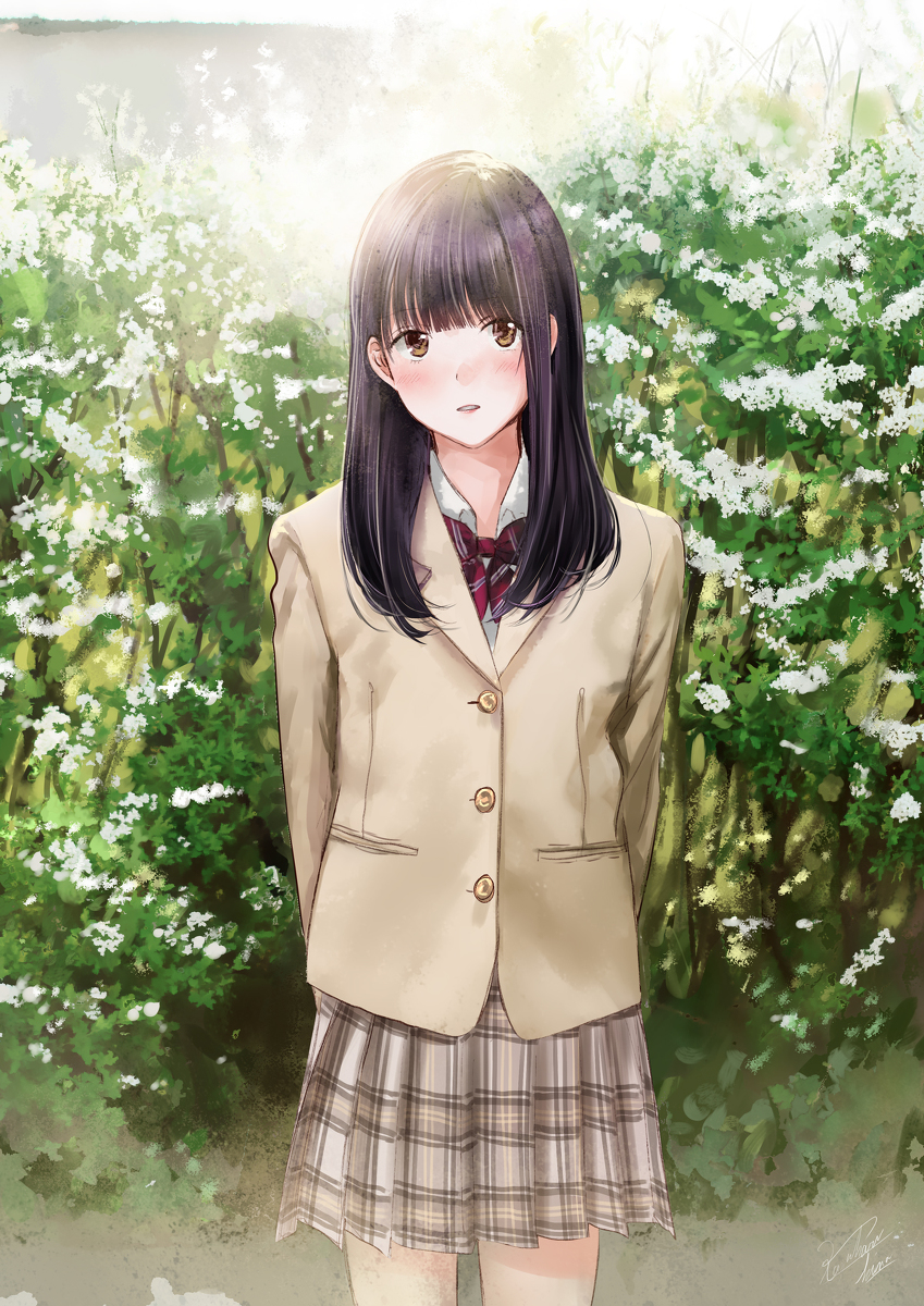 This is a pixiv picture whose title is ユキヤナギ.