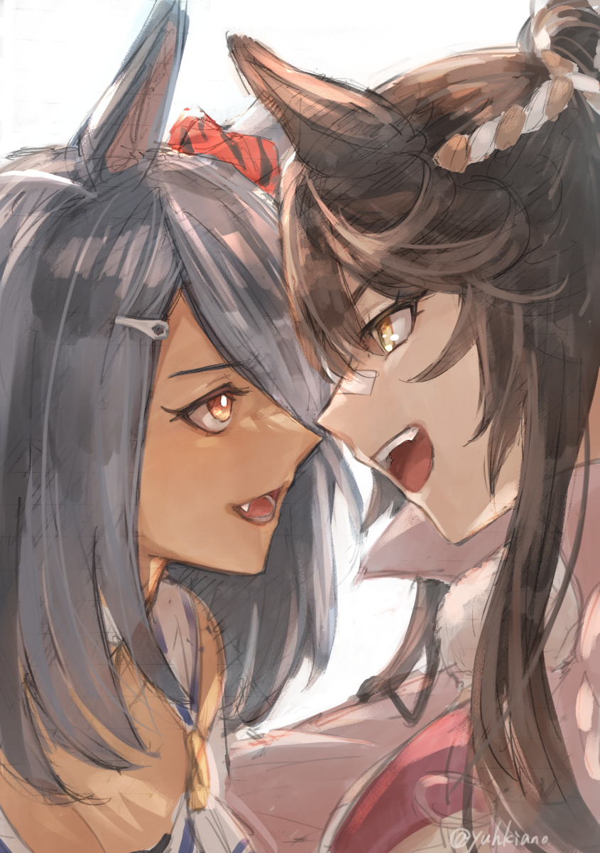 This is a pixiv picture whose title is 女傑と怪物.
