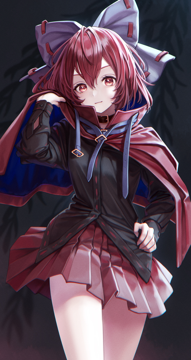 This is a pixiv picture whose title is ばんきちゃんの日.