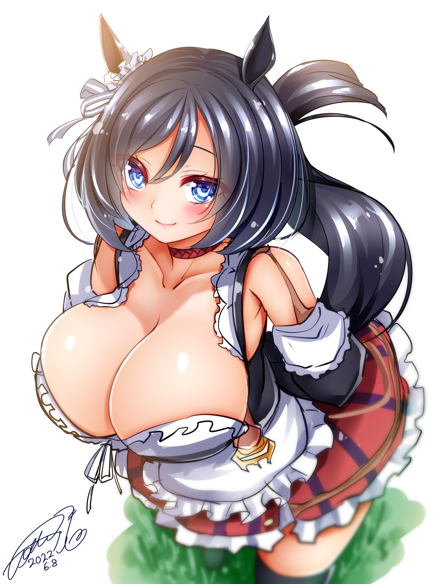 This is a pixiv picture whose title is 落書きエイシンフラッシュ.