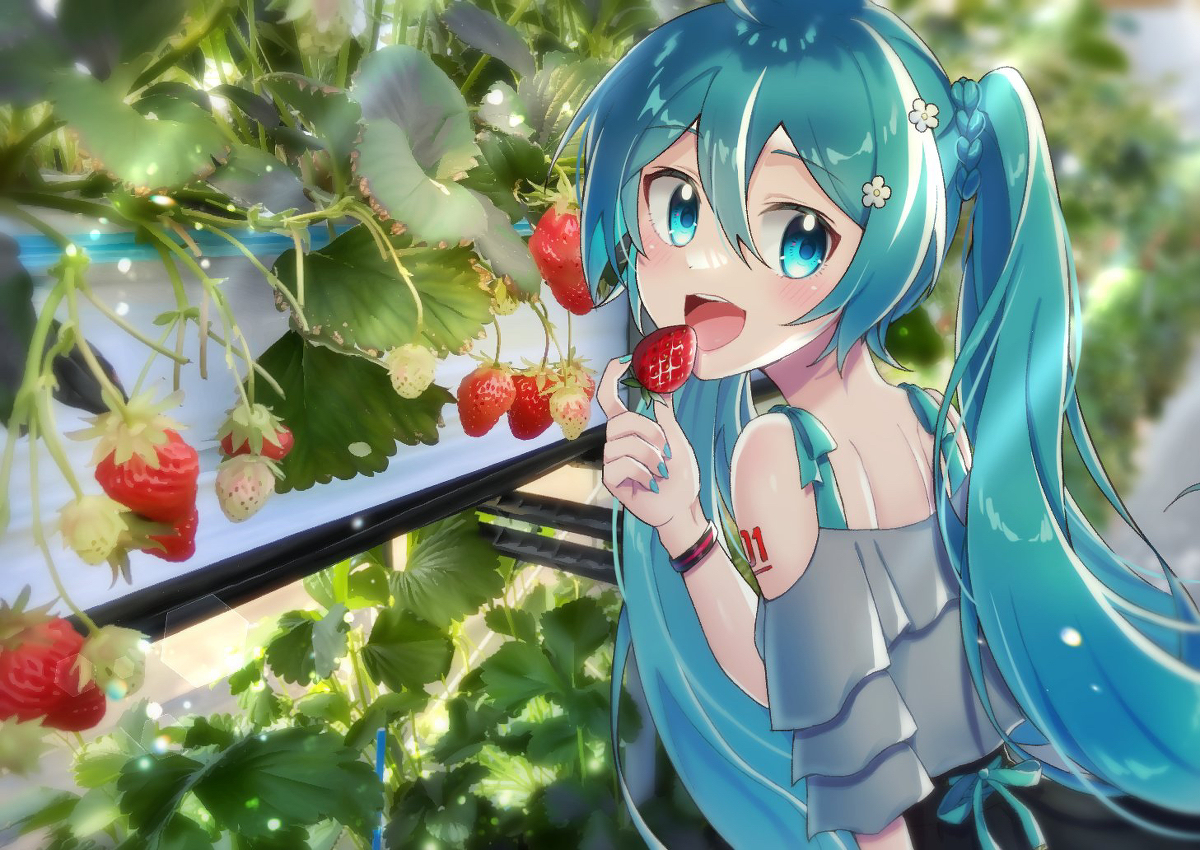 This is a pixiv picture whose title is ミクさんと いちご狩り🍓.