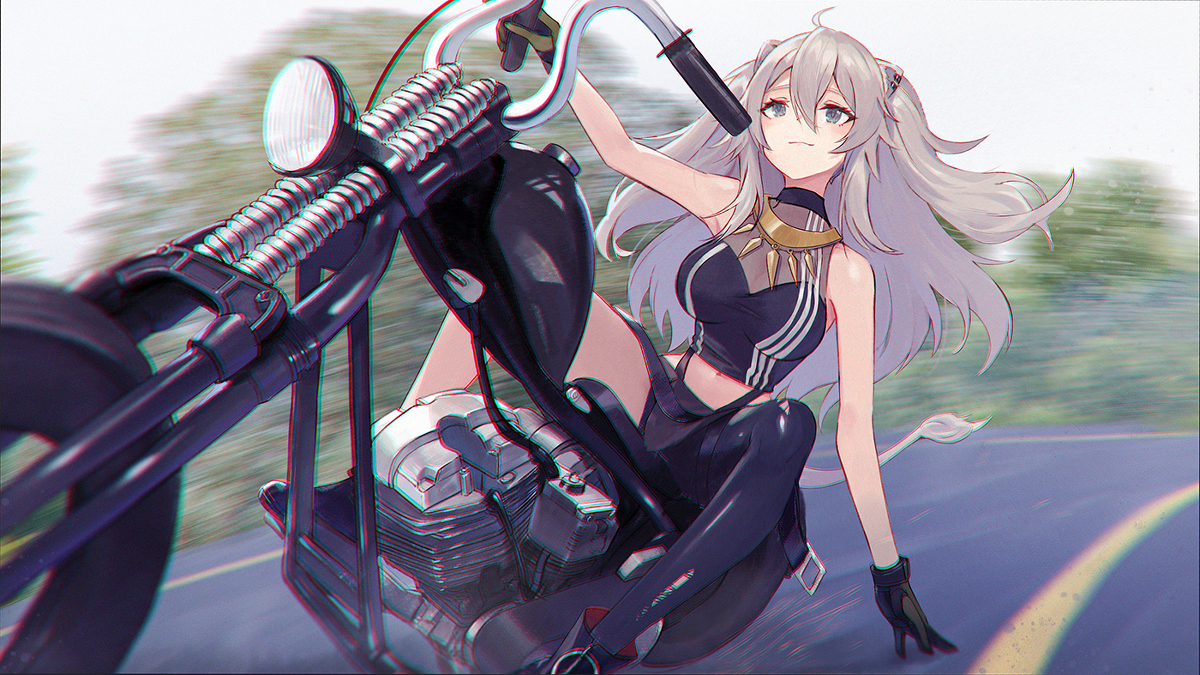 This is a pixiv picture whose title is Chopper 446.