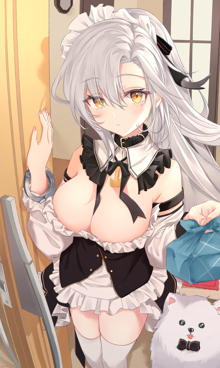 This is a pixiv picture whose title is Maid Drake~.