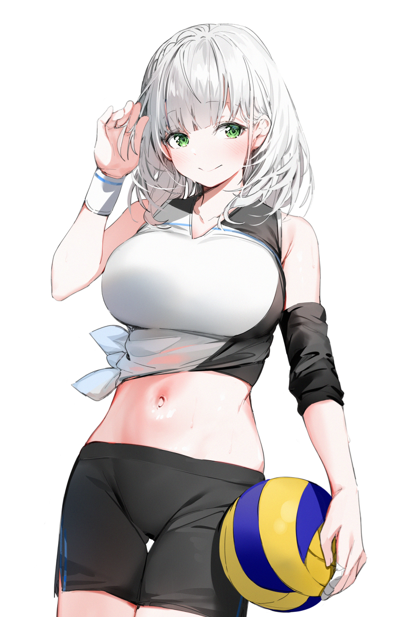 This is a pixiv picture whose title is 白銀ノエル.