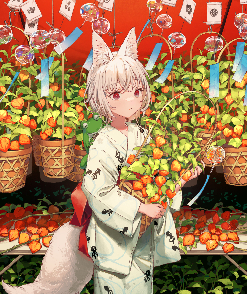 This is a pixiv picture whose title is physalis.