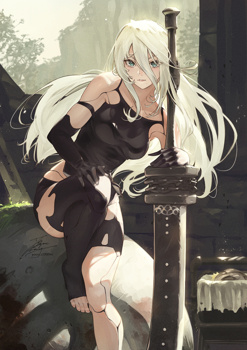 This is a pixiv picture whose title is 百獣の剣王.