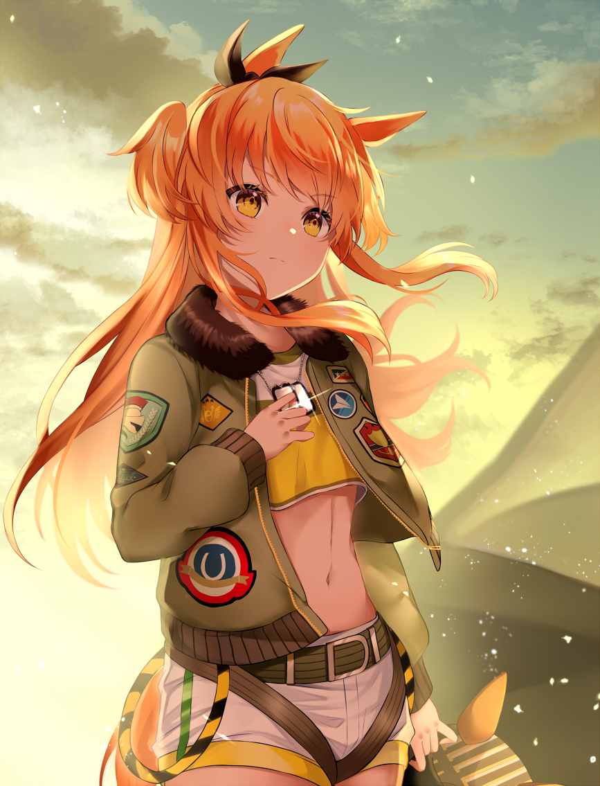 This is a pixiv picture whose title is 誇りをかけて.