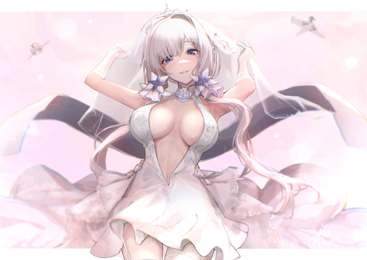 This is a pixiv picture whose title is June Bride.