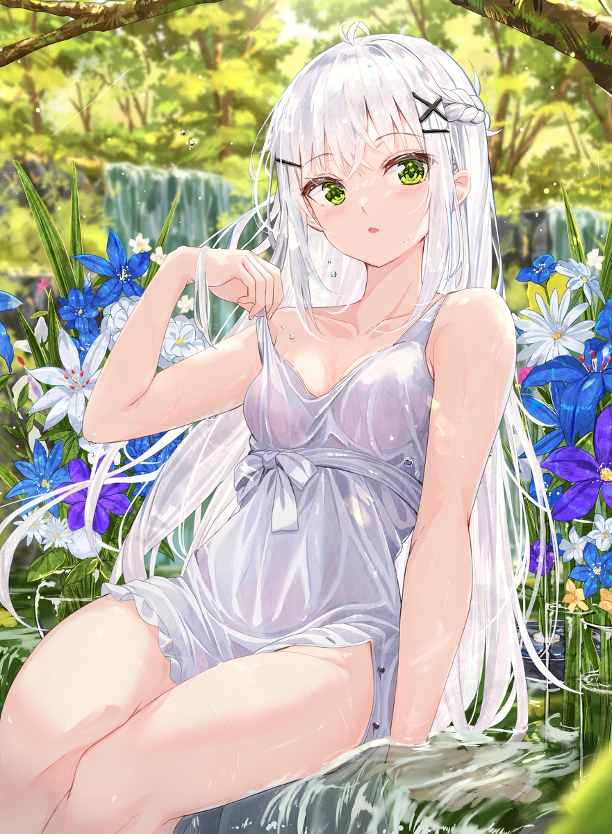 This is a pixiv picture whose title is 渓流生花.