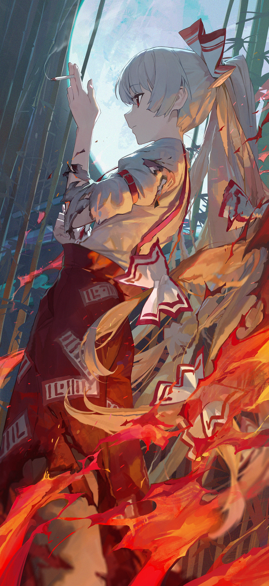This is a pixiv picture whose title is 80日目,藤原妹紅.