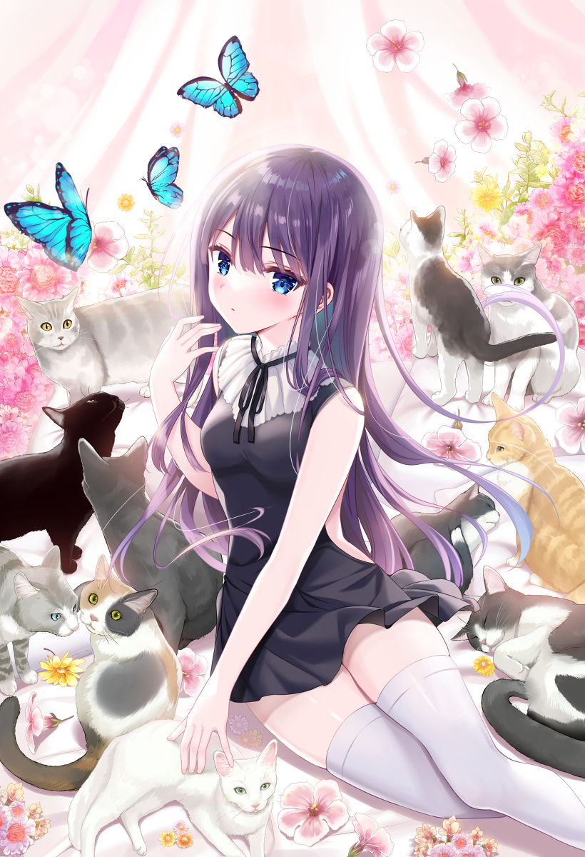 This is a pixiv picture whose title is 愛莉と猫.