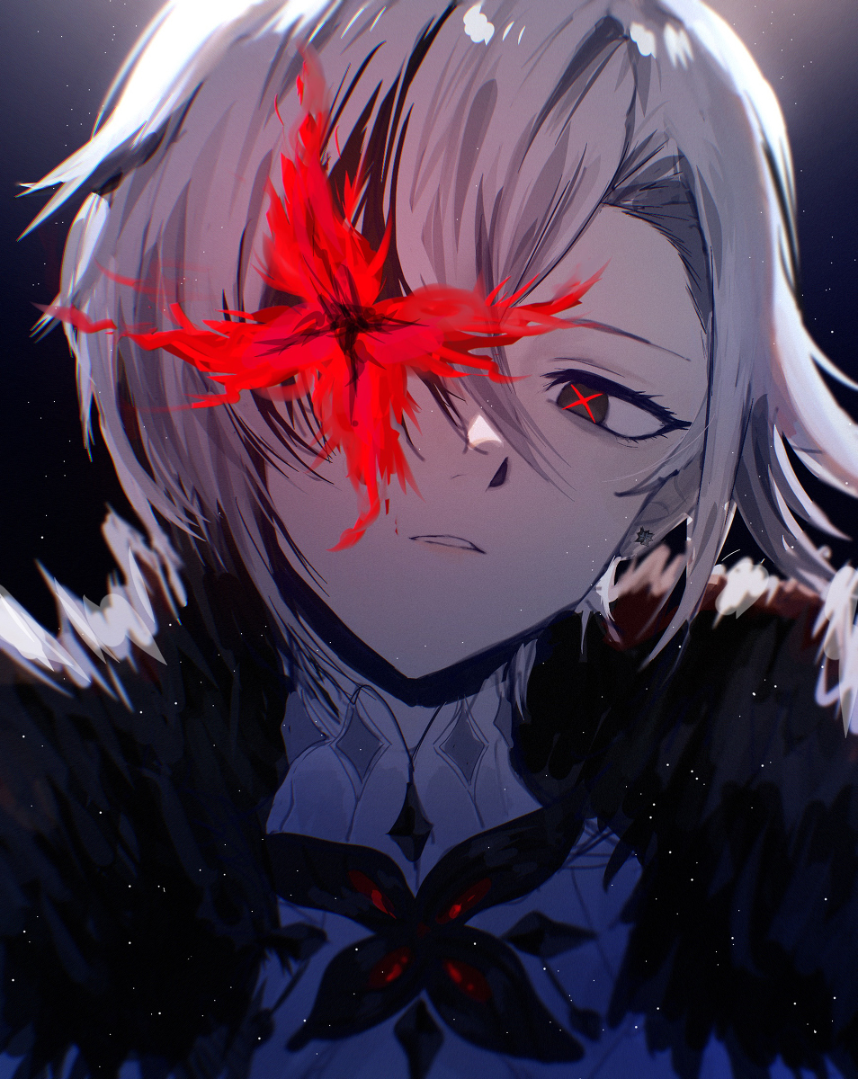 This is a pixiv picture whose title is 召使.
