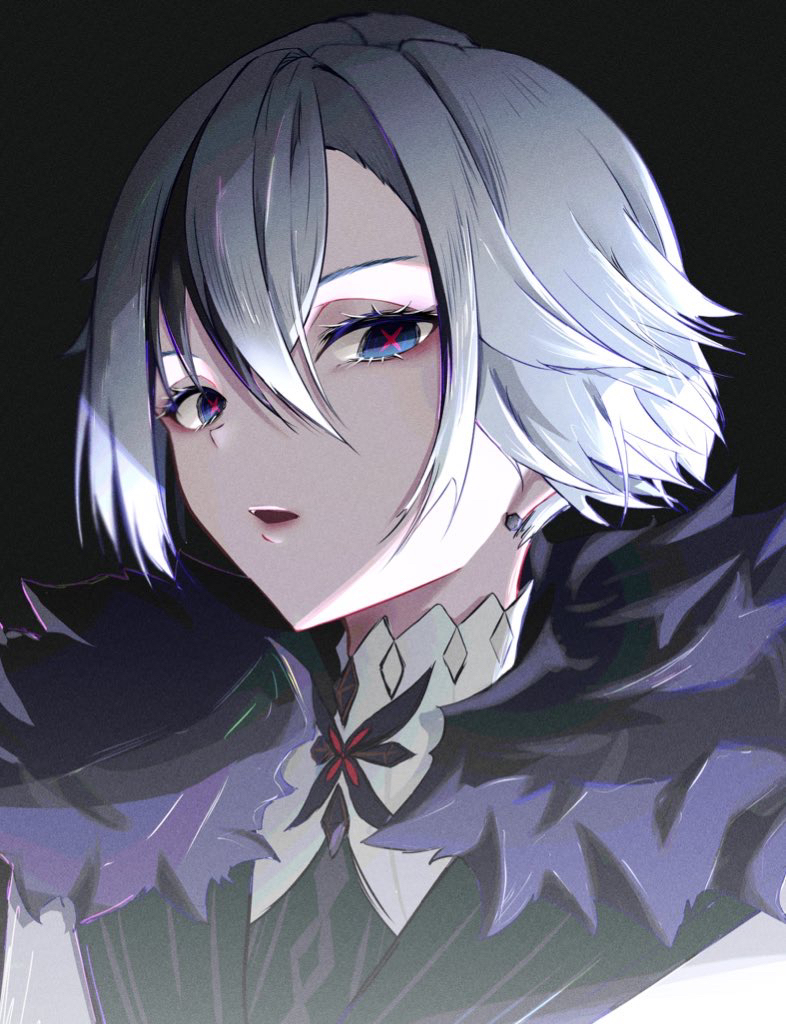 This is a pixiv picture whose title is 召使.
