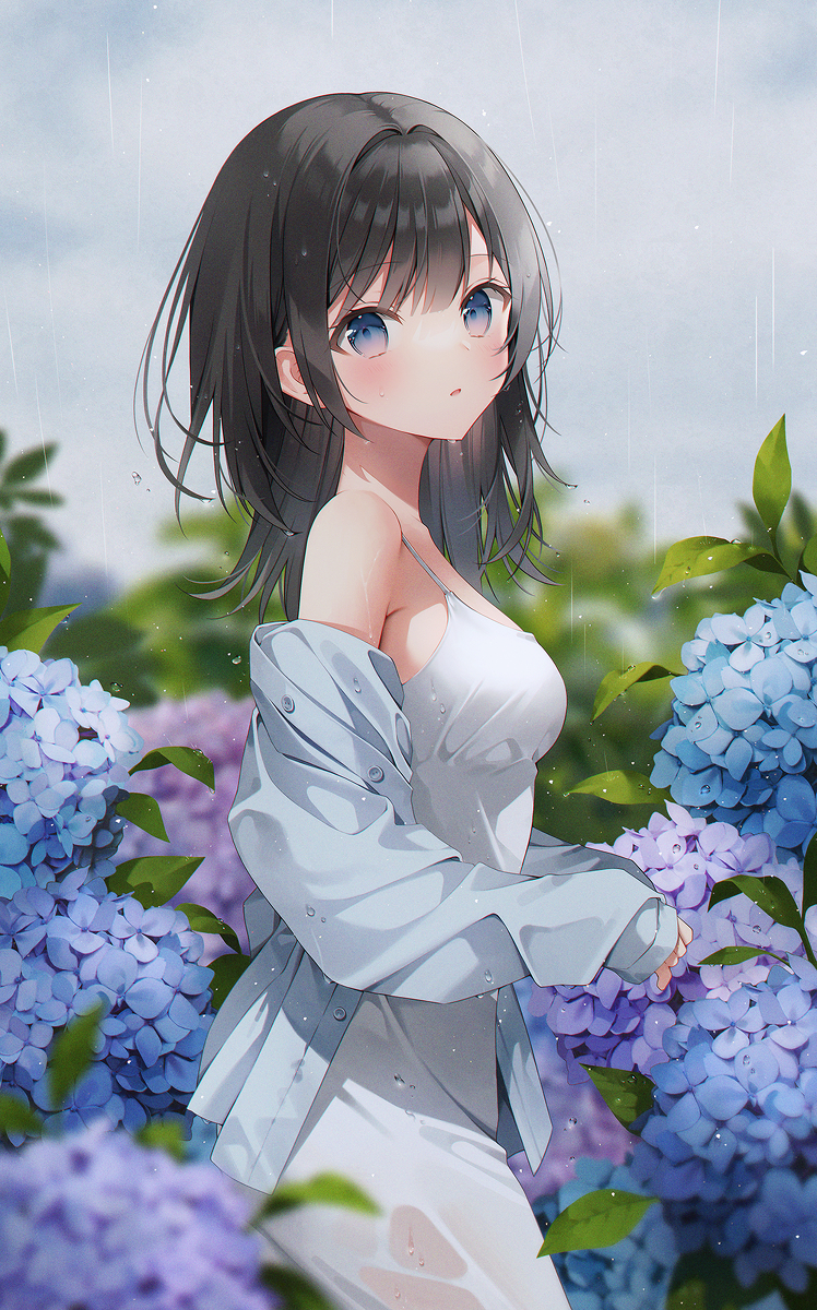This is a pixiv picture whose title is アジサイ.