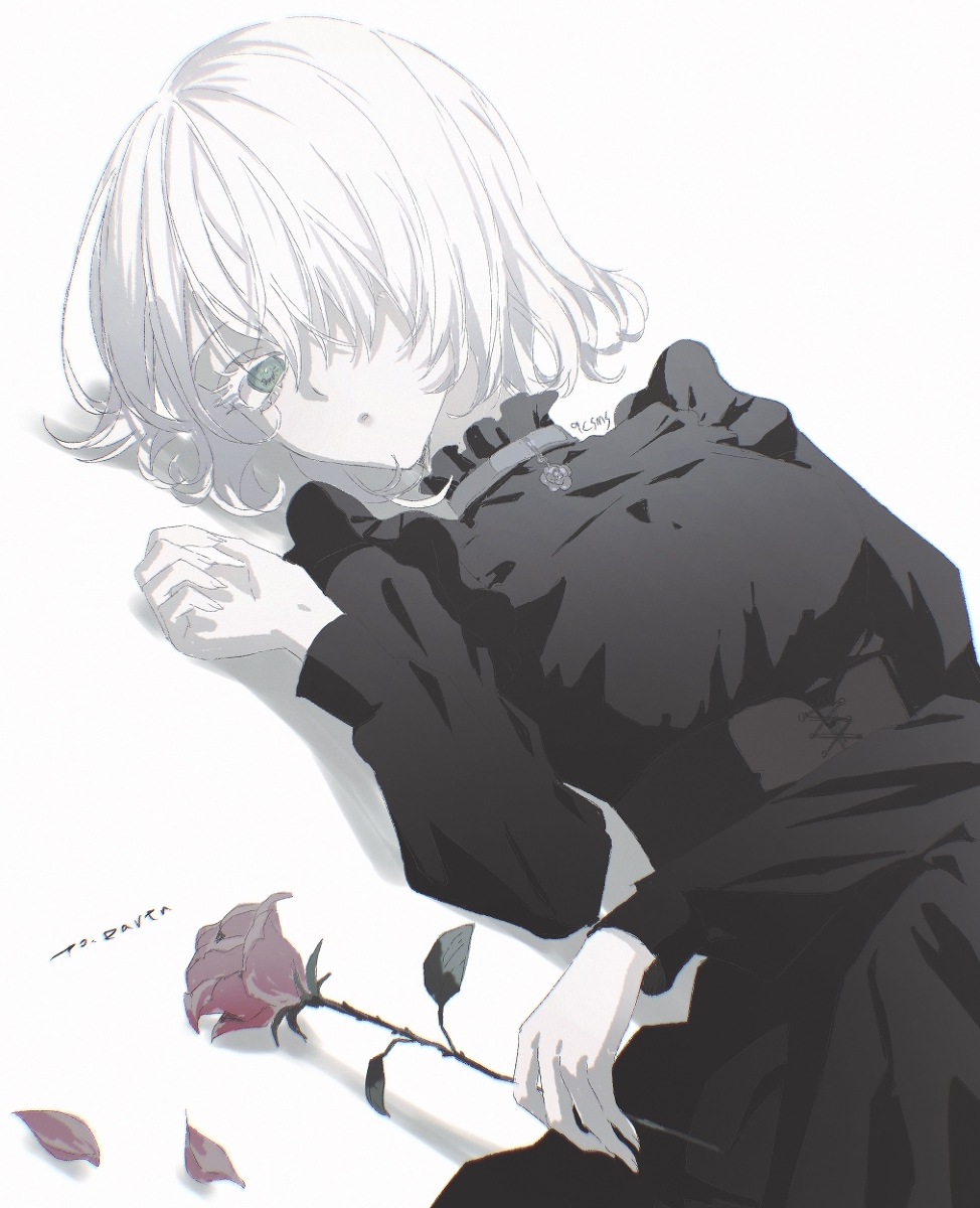 This is a pixiv picture whose title is commission.