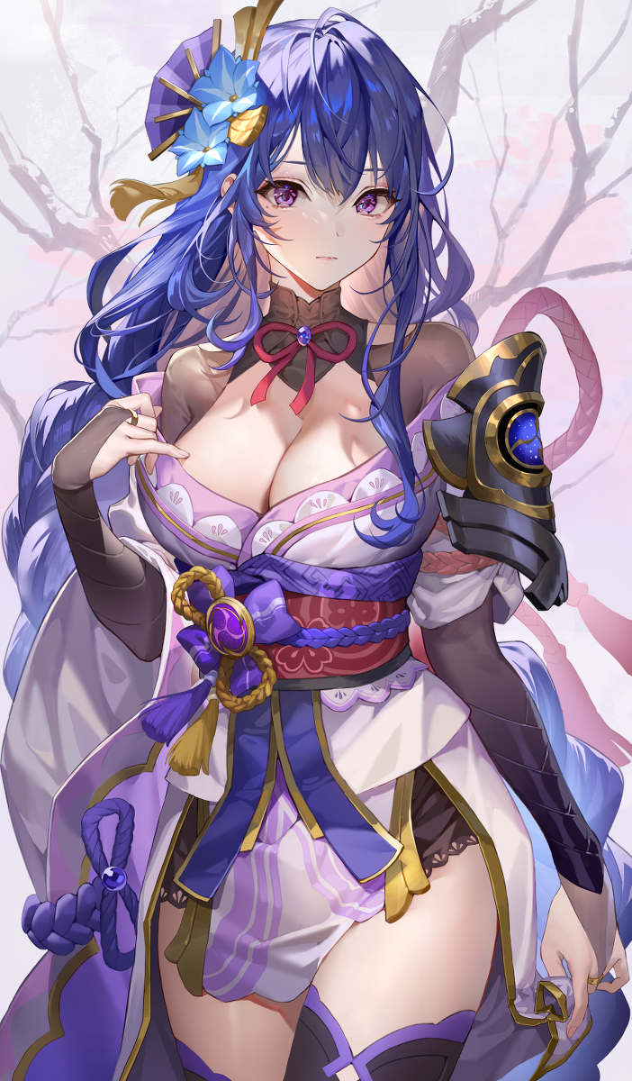 This is a pixiv picture whose title is 雷電将軍.