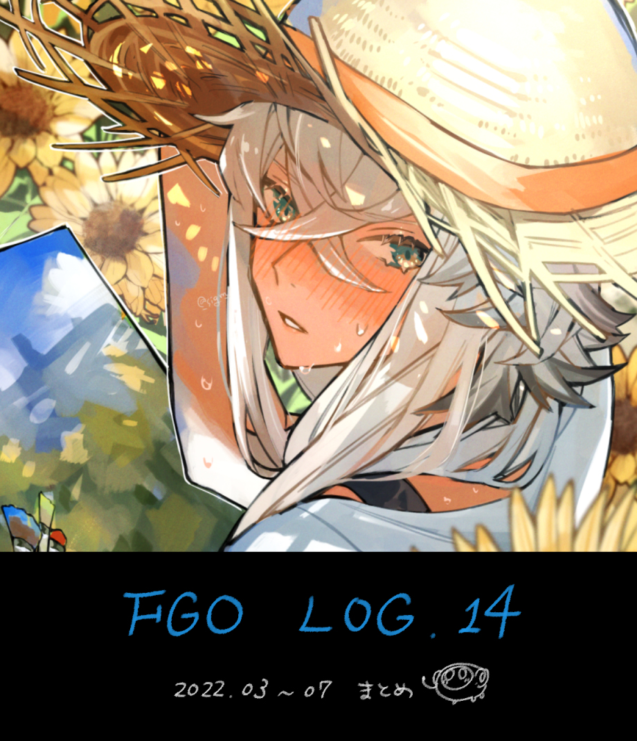 This is a pixiv picture whose title is fgo log14.