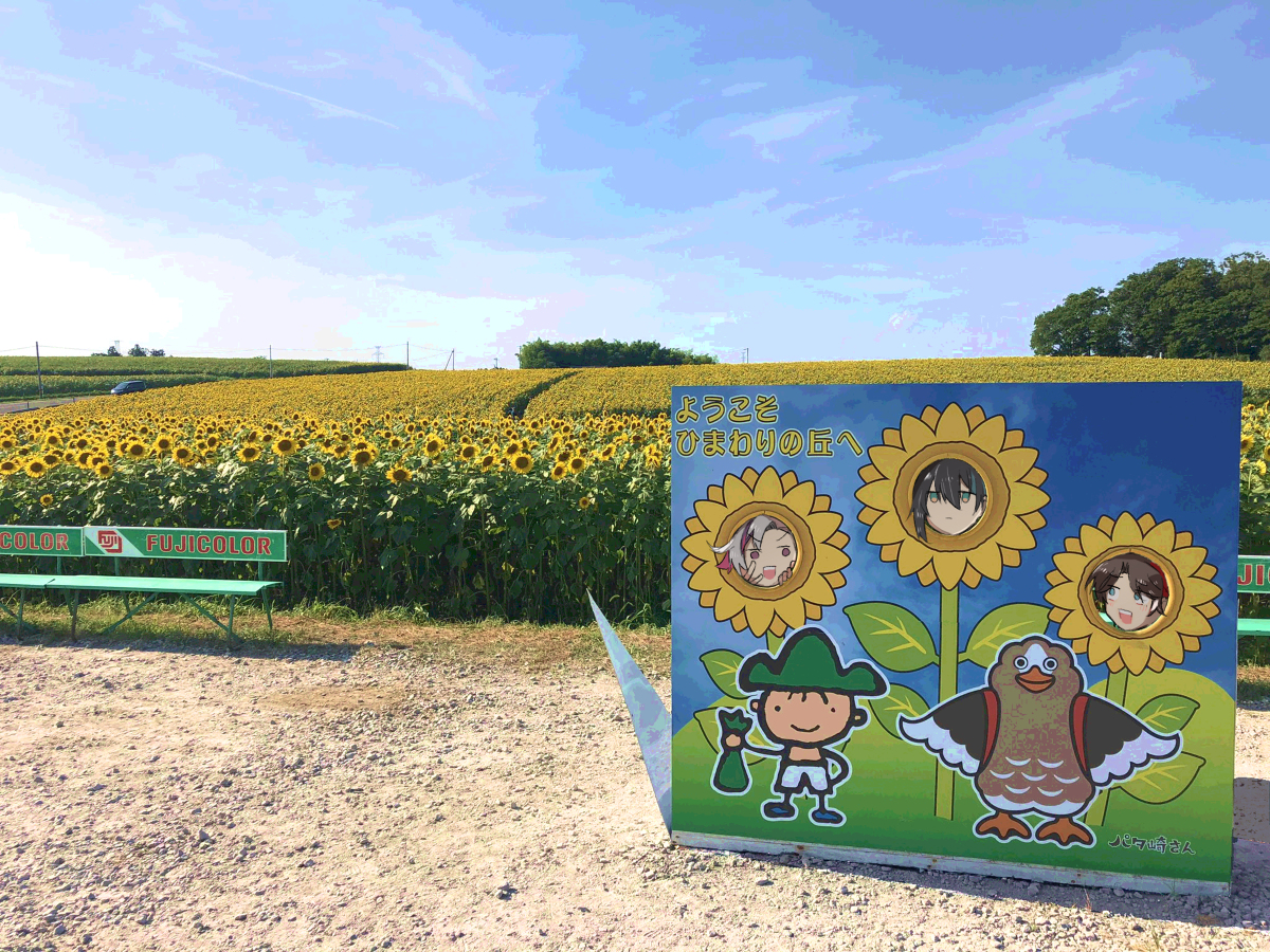 This is a pixiv picture whose title is ひまわり畑に行くメシャの写真.