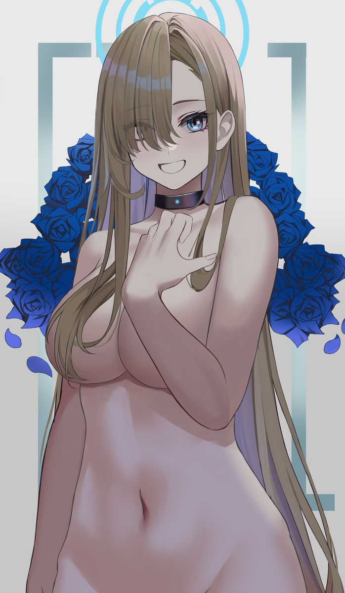 This is a pixiv picture whose title is 【C100新刊】ブルアカイラスト本です。.