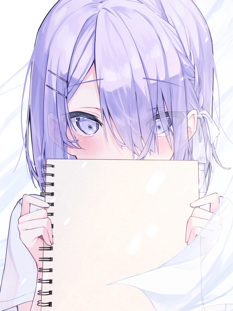 This is a pixiv picture whose title is 📒.