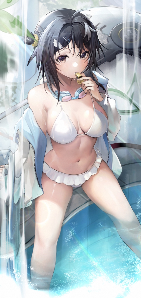 This is a pixiv picture whose title is La Pluma.