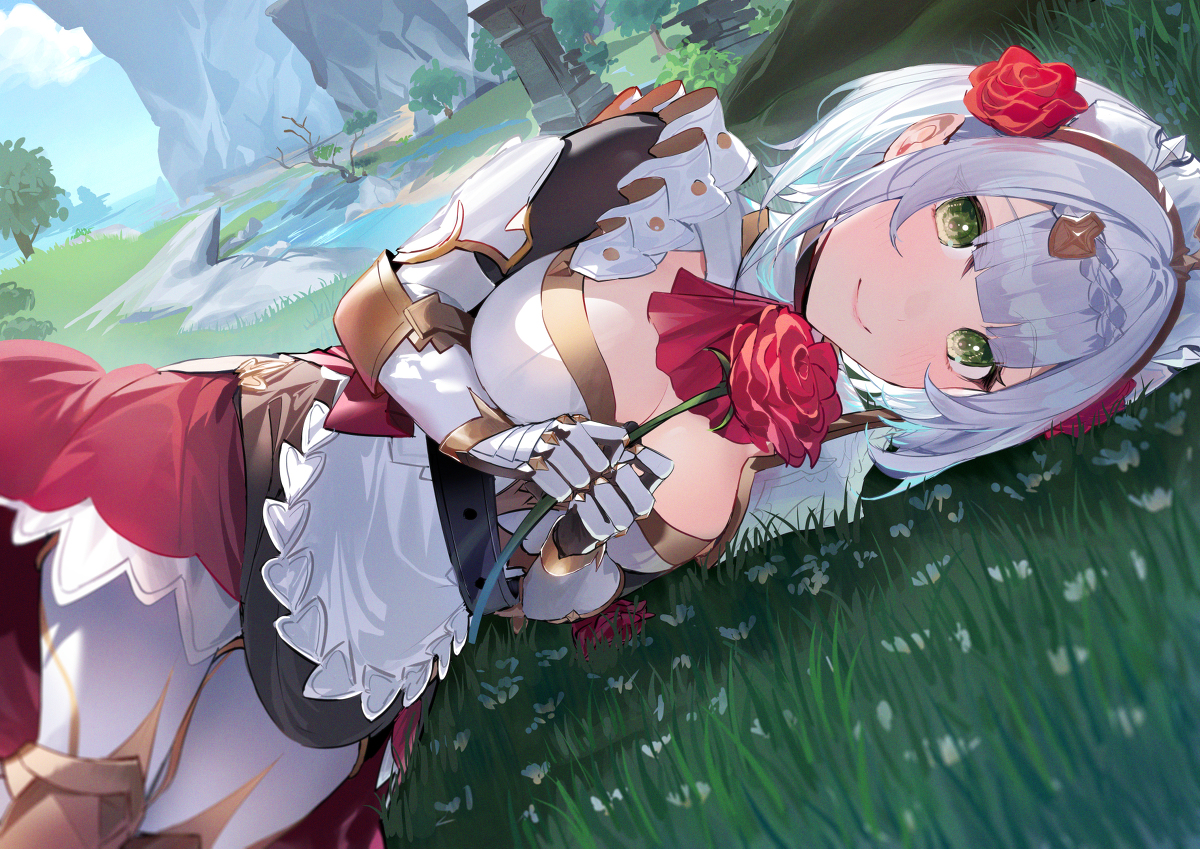 This is a pixiv picture whose title is ノエル.