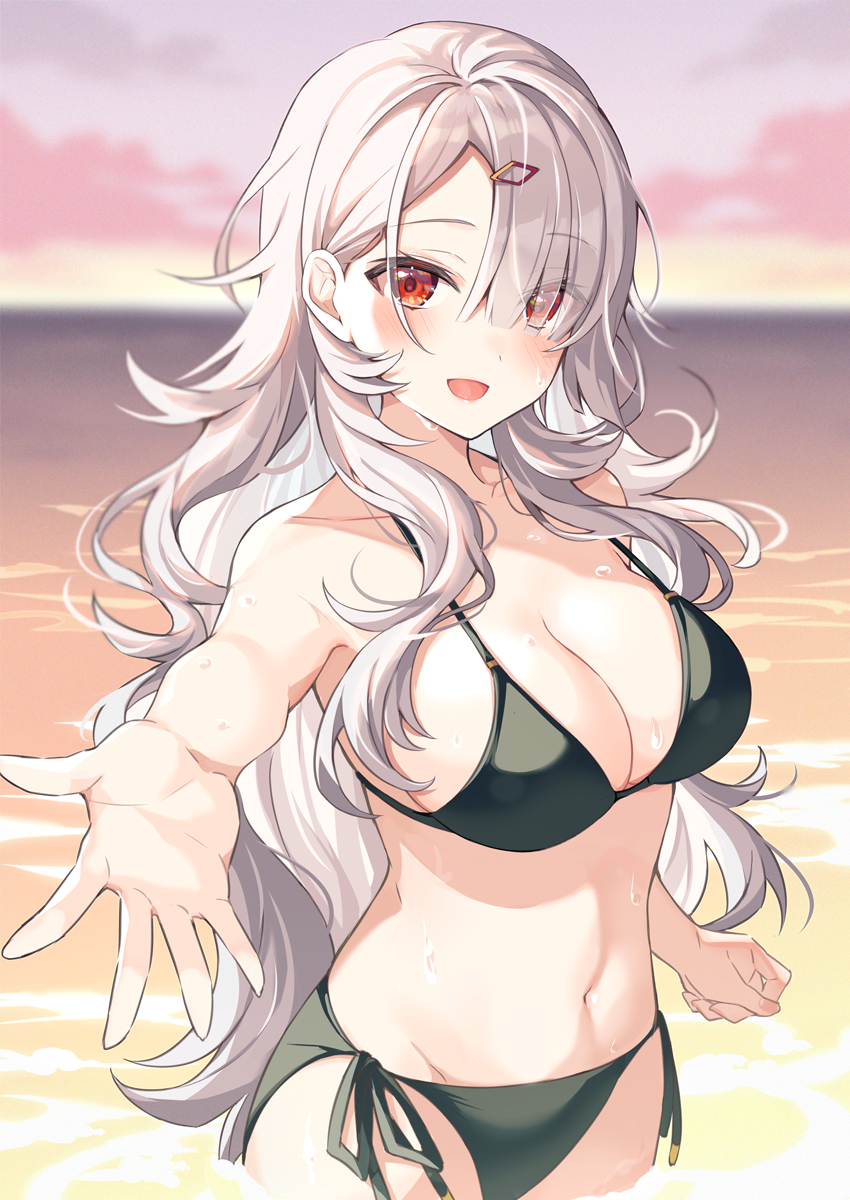 This is a pixiv picture whose title is おいで！.