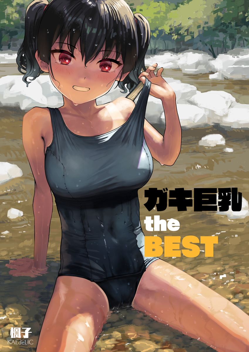 This is a pixiv picture whose title is 「ガキ巨乳 the BEST」販売開始しました！.