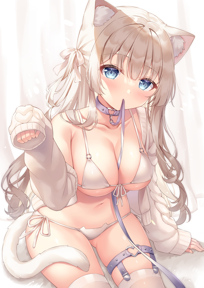 This is a pixiv picture whose title is 白猫ちゃん.