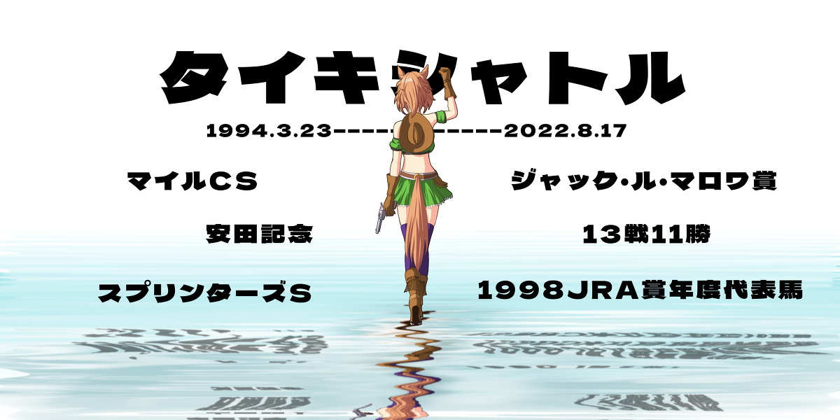 This is a pixiv picture whose title is おやすみタイキシャトル.