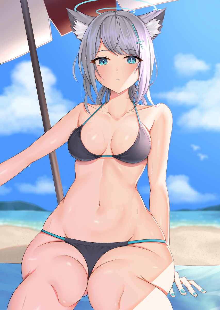 This is a pixiv picture whose title is 水着シロコ.