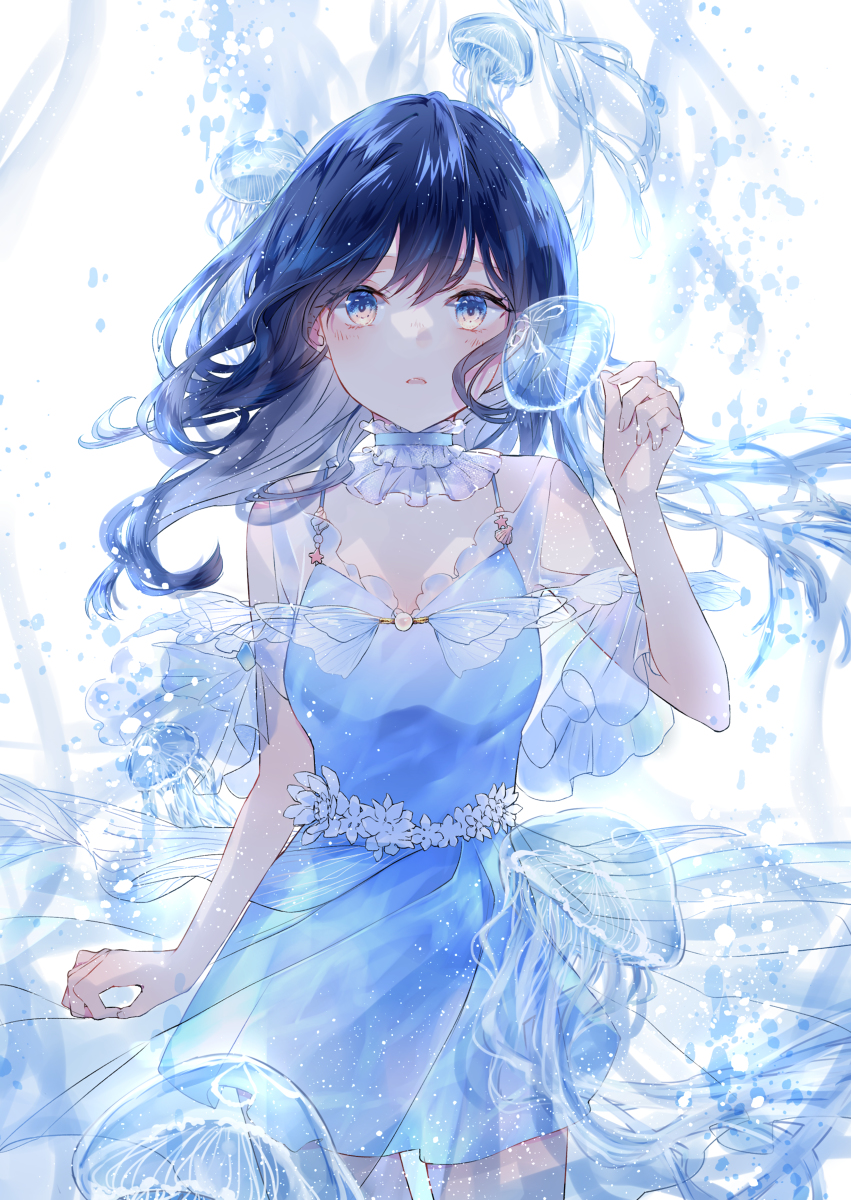 This is a pixiv picture whose title is 海月姫.