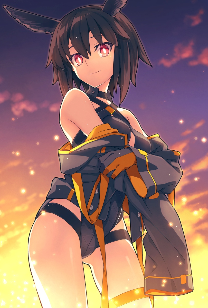 This is a pixiv picture whose title is 水着ワルキューレ.