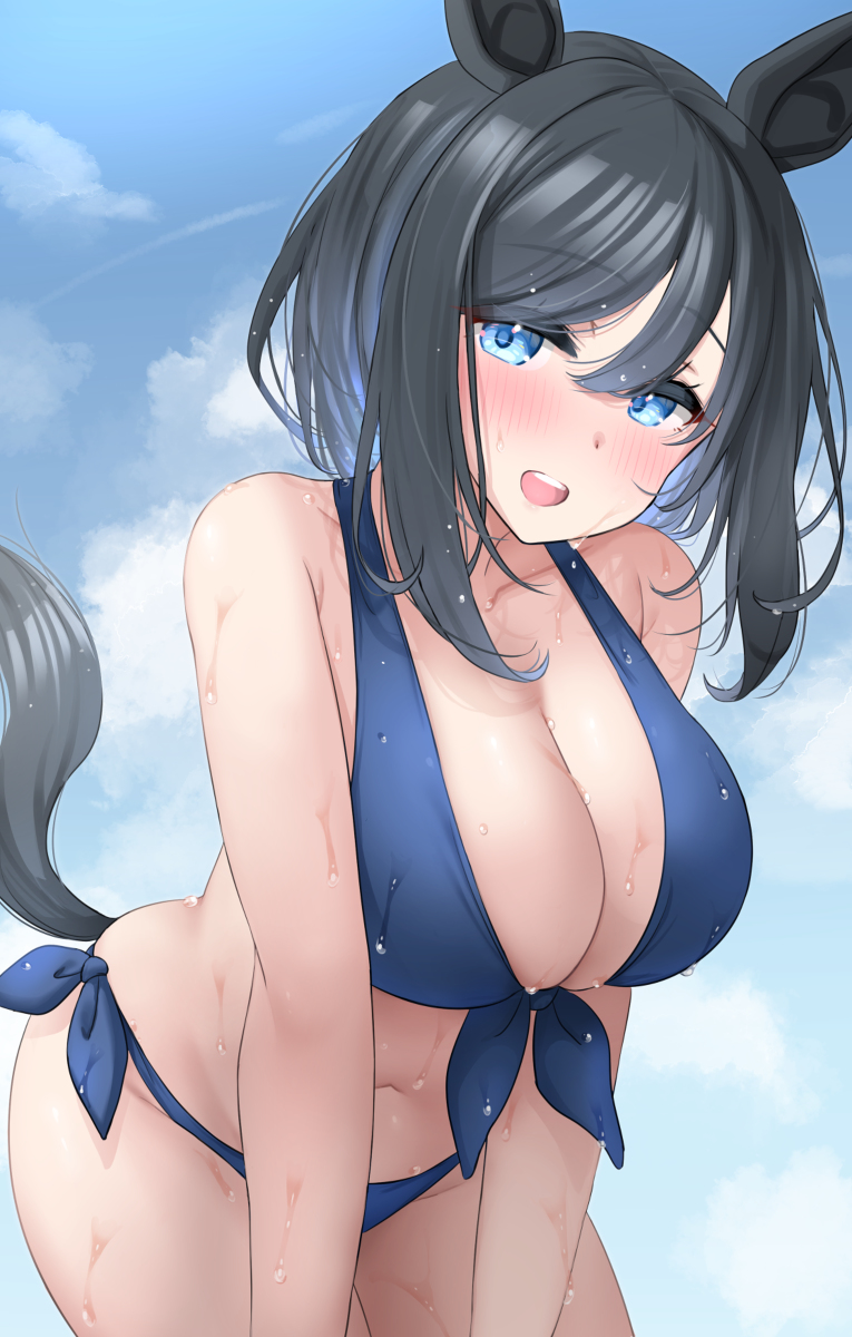 This is a pixiv picture whose title is エイシンさんと海に行きたい.