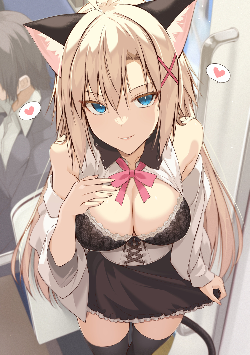 This is a pixiv picture whose title is 電車でこっそり(？)挑発してくる猫耳お嬢様.