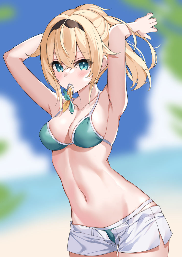 This is a pixiv picture whose title is サマーいろは.