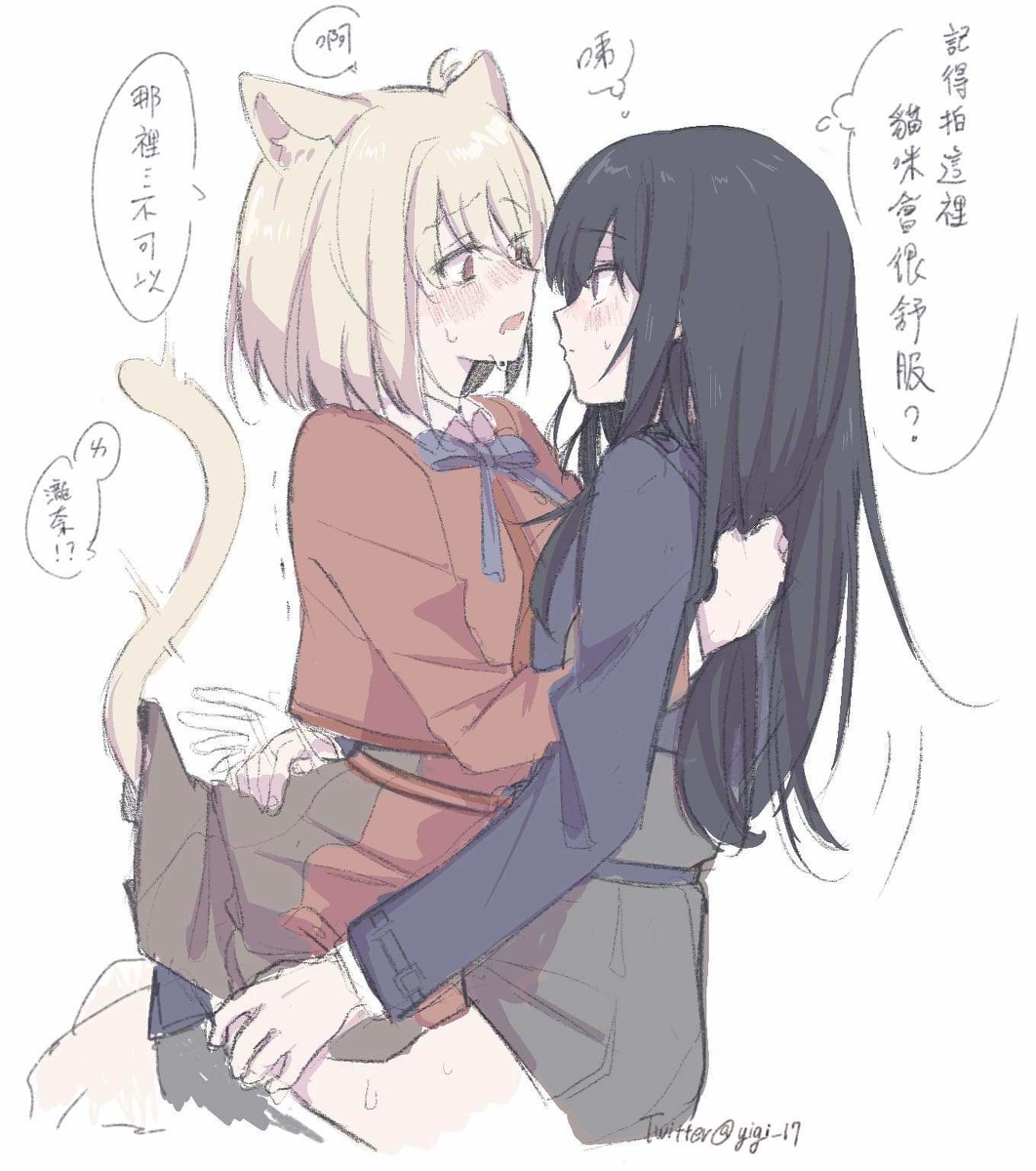 This is a pixiv picture whose title is 猫ちゃん.