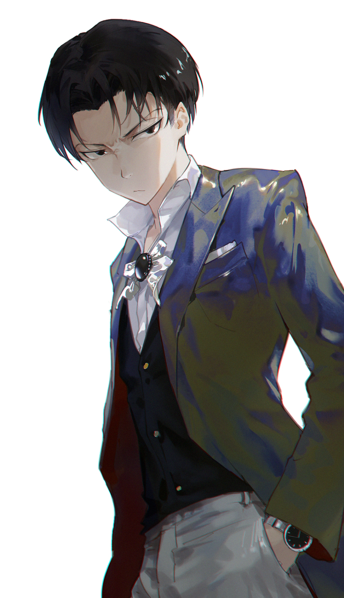 This is a pixiv picture whose title is levi.