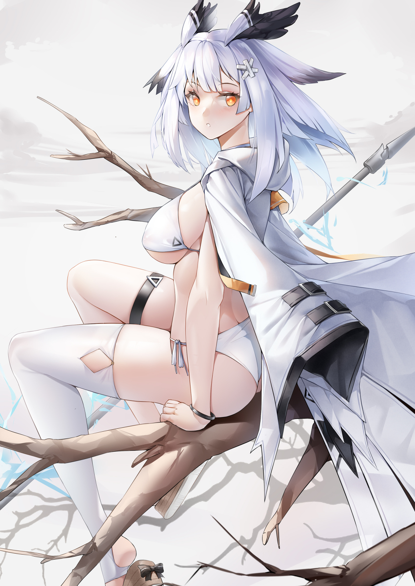 This is a pixiv picture whose title is 白面鸮泳装.