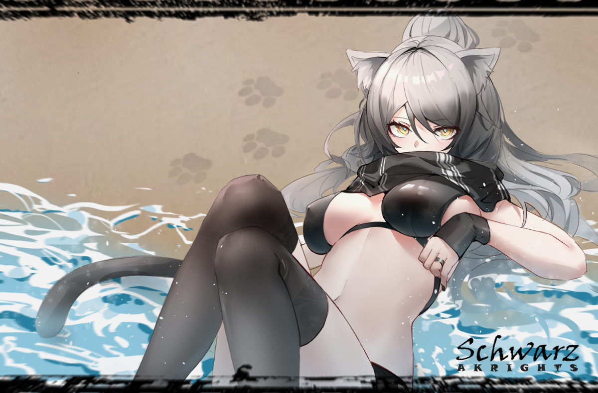 This is a pixiv picture whose title is 【Schwarz】.