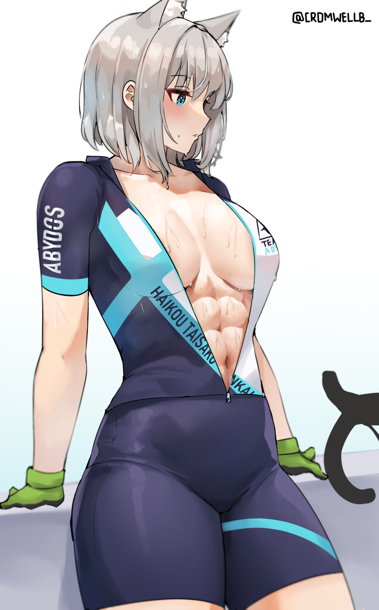 This is a pixiv picture whose title is Shiroko.