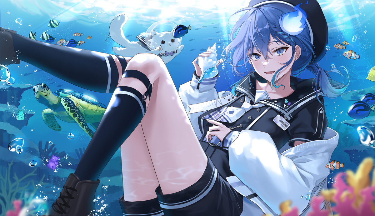 This is a pixiv picture whose title is 海.