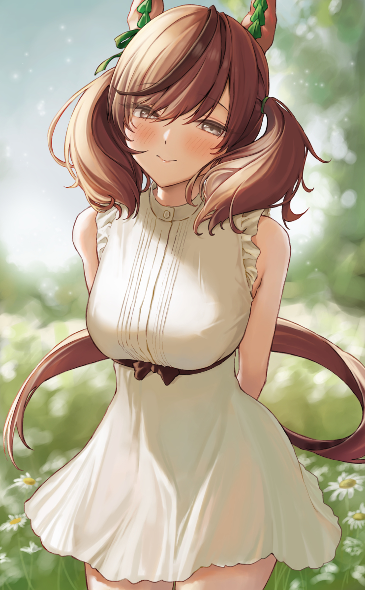 This is a pixiv picture whose title is ネイチャ.