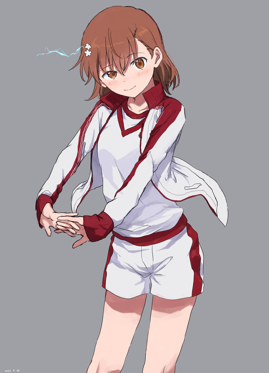 This is a pixiv picture whose title is とある絵.