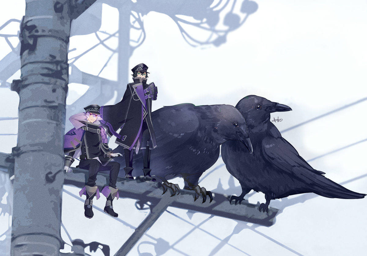 This is a pixiv picture whose title is 二羽の烏.