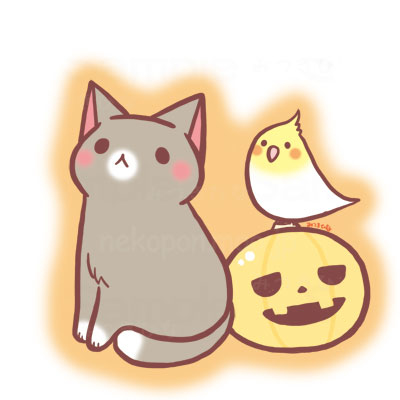 This is a pixiv picture whose title is ねことかぼちゃ.